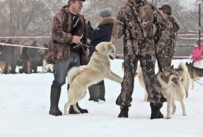 IMG_0126-Л+Ф.JPG