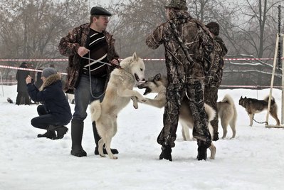 IMG_0125-Л+Ф.JPG
