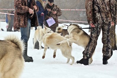 IMG_0122-Л+Ф.JPG