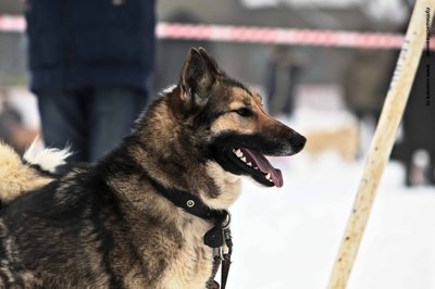 IMG_0140-Л+Ф.JPG