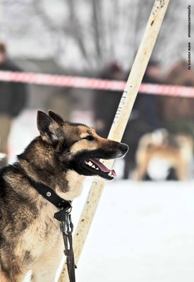 IMG_0139-Л+Ф.JPG