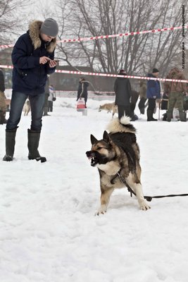 IMG_0135-Л+Ф.JPG