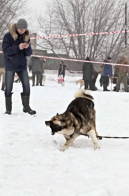 IMG_0134-Л+Ф.JPG