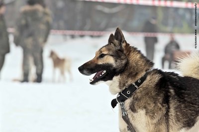 IMG_0147-Л+Ф.JPG