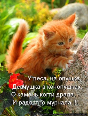девчушка.jpg