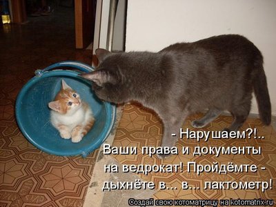 ведро.jpg