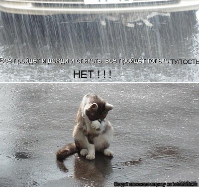 тупость.jpg
