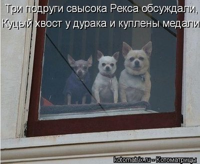 медали.jpg