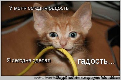 гадость.jpg