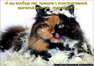 критика.jpg