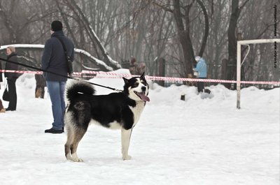 IMG_0165-Л+Ф.JPG