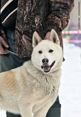 IMG_0154-Л+Ф.JPG