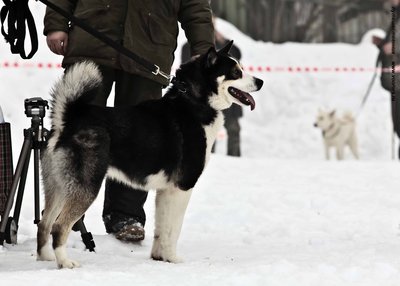 IMG_0176-Л+Ф.JPG