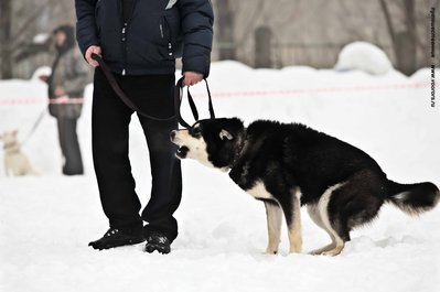 IMG_0174-Л+Ф.JPG