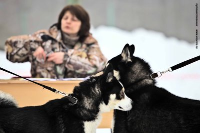 IMG_0170-Л+Ф.JPG