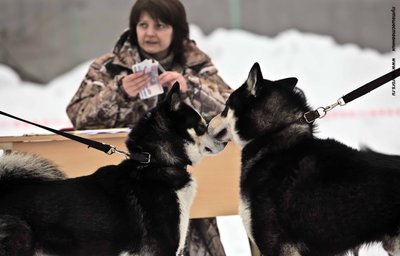 IMG_0169-Л+Ф.JPG