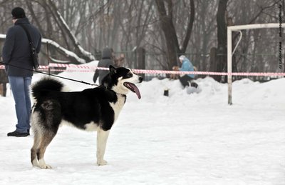 IMG_0167-Л+Ф.JPG