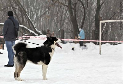 IMG_0166-Л+Ф.JPG
