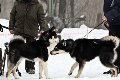 IMG_0182-Л+Ф.JPG