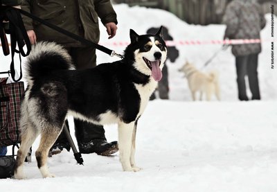 IMG_0180-Л+Ф.JPG