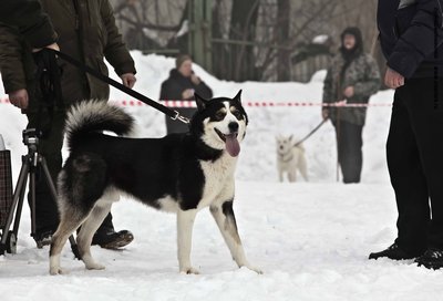 IMG_0178-Л+Ф.JPG