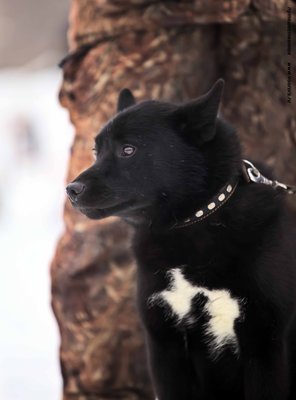 IMG_0198-Л+Ф.JPG