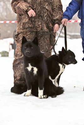IMG_0194-Л+Ф.JPG
