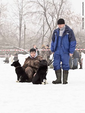 IMG_0190-Л+Ф.JPG