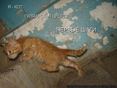 первые шаги.jpg