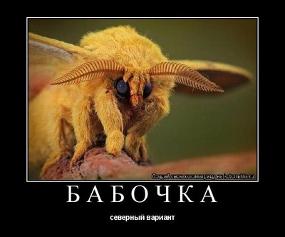 баб2.jpg