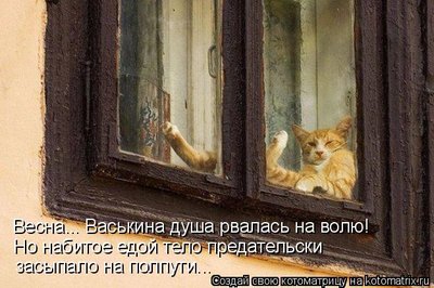 весна.jpg