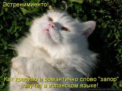 запор2.jpg