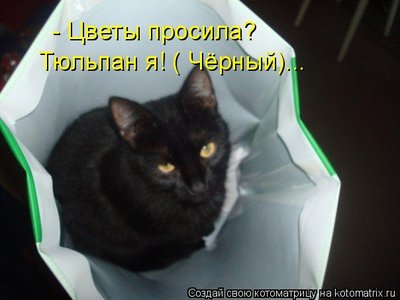 тюльпан.jpg