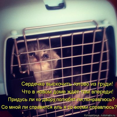 палатка.jpg