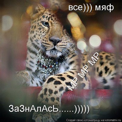 зазналась.jpg
