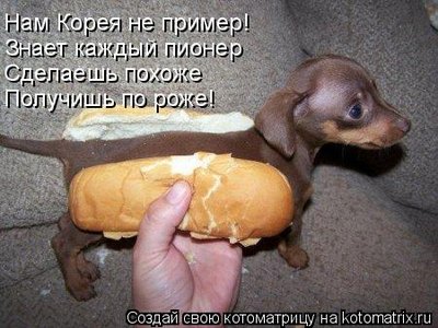 рожа.jpg
