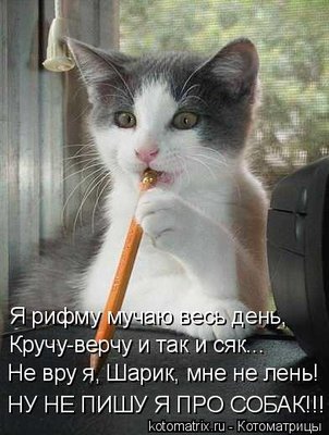 собака.jpg