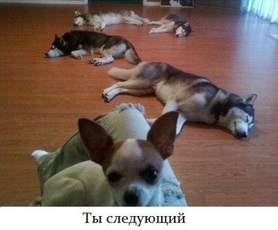 1WjSh7YHE0g.jpg