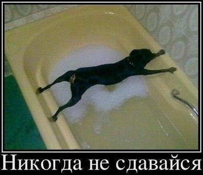 GmIpJn0M3dU.jpg