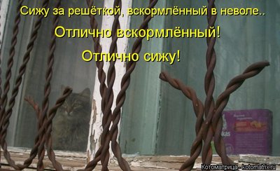 зэк.jpg