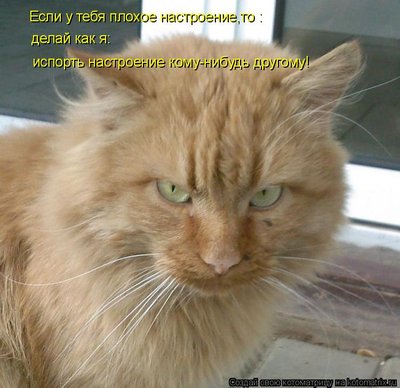 настроение.jpg