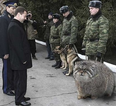 Keefers_Animals1005.jpg