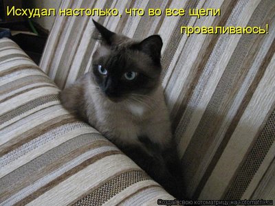 голод2.jpg