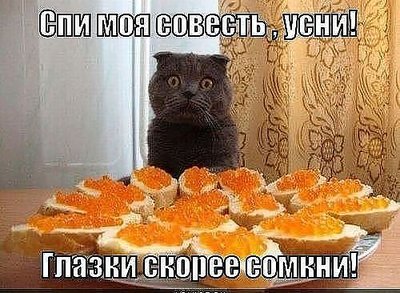 getImage (9).jpg