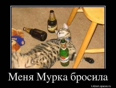 getImage (14).jpg