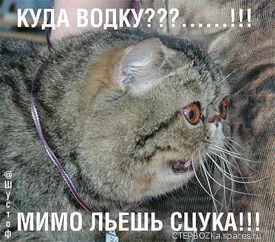 getImage (19).jpg