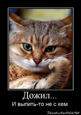 getImage (18).jpg