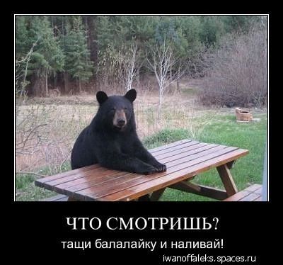 getImage (12).jpg