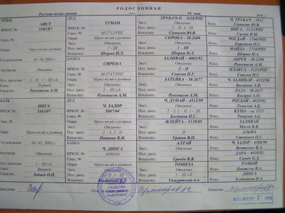 PICT0013.JPG