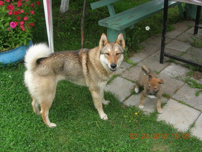 DSCN1096.JPG